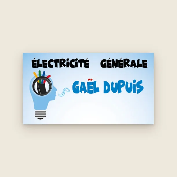 Logo Électricité générale Gaël Dupuis : profil en forme d’ampoule avec des fils de couleur